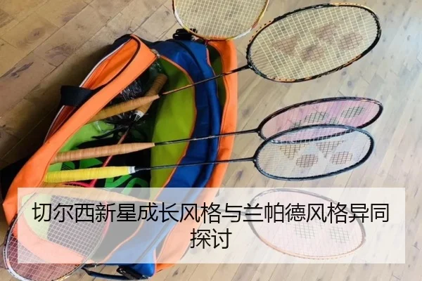 切尔西新星成长风格与兰帕德风格异同探讨